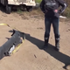Illustration for article titled This Towing Fail Video Is Maybe The Stupidest Thing Ive Ever Seen